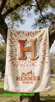 Hermès Whimsical Smiling H Watercolor Flannel Fleece Blanket IMG_4962